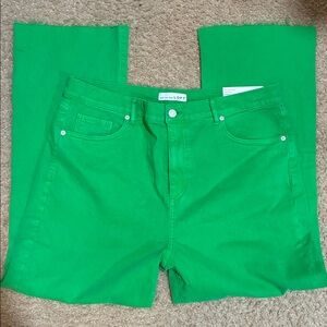 LOFT Kelly Green Crop Jeans (Sz 32 or 14) NWT